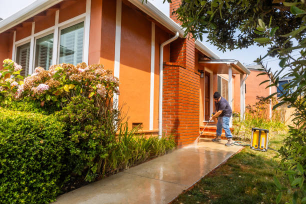Best Roof Power Washing Services  in Fort Belknap Agency, MT